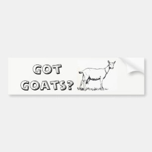GOT GOATS? Bumper sticker