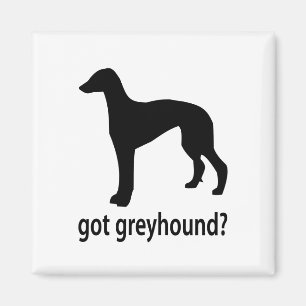 Got Greyhound Magnet