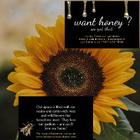 Got Honey? Gold Drips Realistic Bee Black Apiary