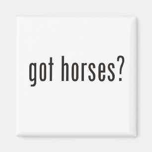 got horses? magnet