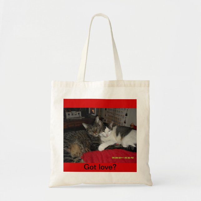 Got love - cats on a bag (Front)
