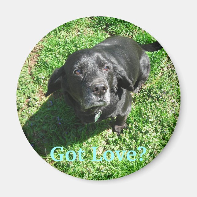 Got Love? Magnet (Front)