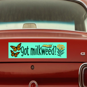 GOT MILKWEED? Monarch Butterfly Caterpillar Plants Bumper Sticker