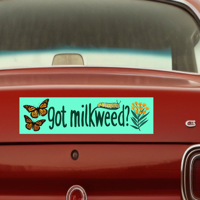 GOT MILKWEED? Monarch Butterfly Caterpillar Plants Bumper Sticker (GOT MILKWEED? Monarch Butterfly Caterpillar Plants Bumper Sticker
)