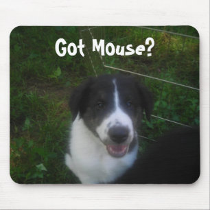 Got Mouse? Mouse Pad