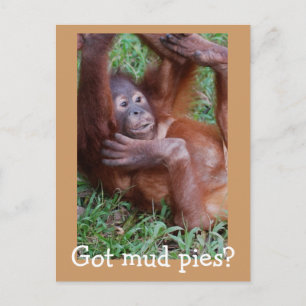 Got mud pies? postcard
