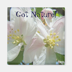 Got Nature! magnet Pink Apple Blossom Flowers