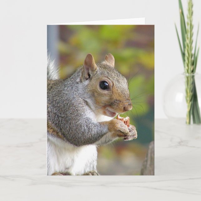 Got nuts? card (Front)