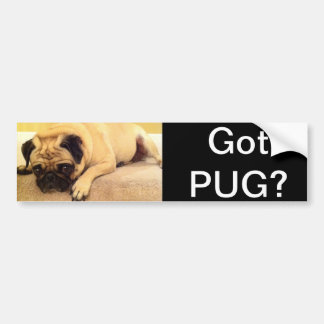 Got pug dog bumper sticker