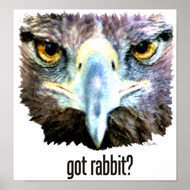Got Rabbit? Poster (Front)