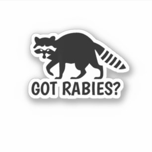 Got Rabies Racoon
