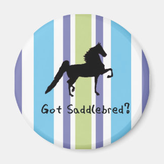 Got Saddlebred? Magnet