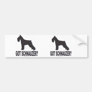 Got Schnauzer? Bumper Sticker