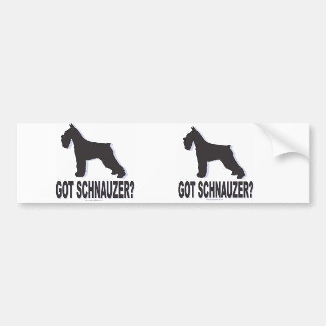 Got Schnauzer? Bumper Sticker (Front)