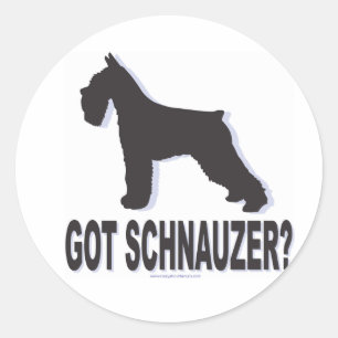 Got Schnauzer? Classic Round Sticker