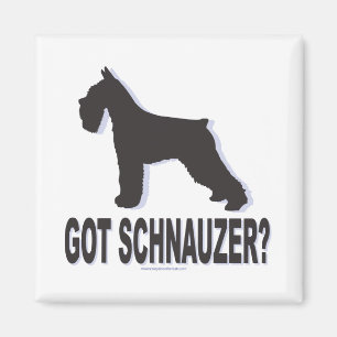 Got Schnauzer? Magnet