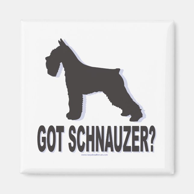 Got Schnauzer? Magnet (Front)