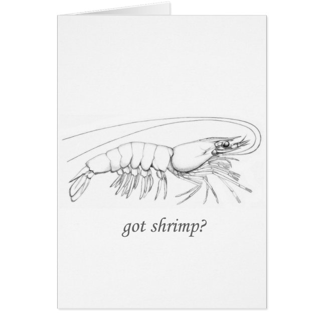 "got shrimp" logo (Front)