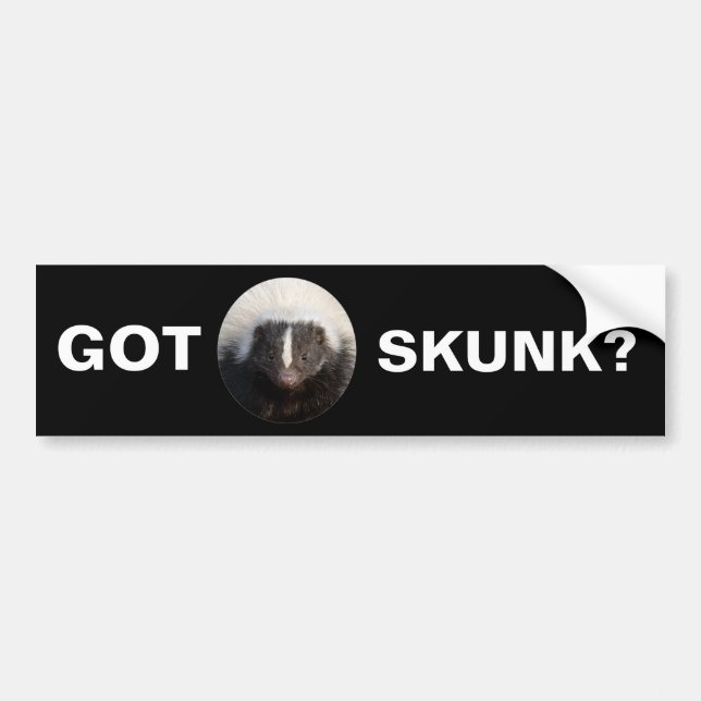 Got Skunk? Bumper Sticker (Front)