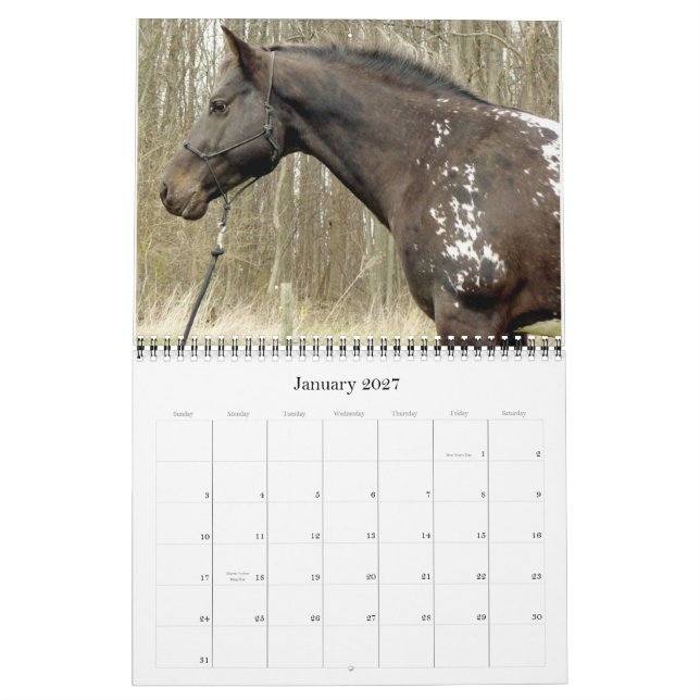 GOT SPOTS? 2011 APPALOOSA CALENDAR (Jan 2027)