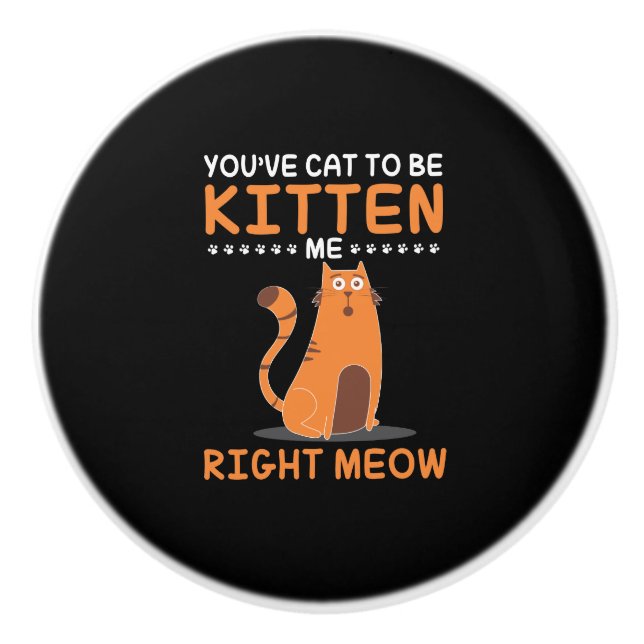 Got To Be Kidding Me Pun Kitten Cat Lover Pet Gift Ceramic Knob (Front)