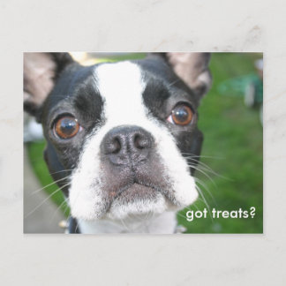 Got treats postcard