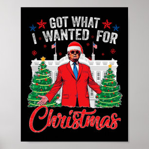Got What I Wanted For Christmas Trump 1 Poster