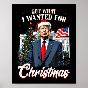 Got What I Wanted For Christmas Trump 2024  Poster