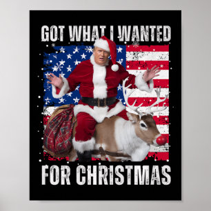Got What I Wanted For Christmas - Trump Won 2024 P Poster