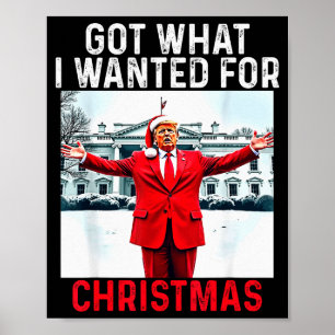 Got What I Wanted For Christmas - Trump Won 2024 P Poster