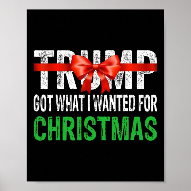 Got What I Wanted For Christmas - Trump Won 2024 P Poster (Front)
