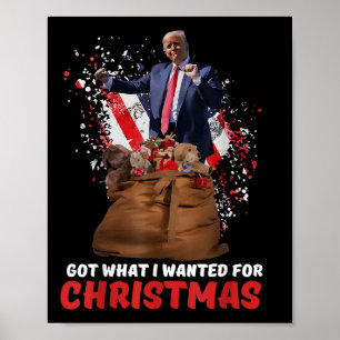 Got What I Wanted For Christmas - Trump Won 2024 Poster