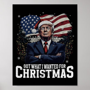 Got What I Wanted For Christmas Trump Won Presiden Poster