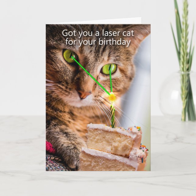 Got you a laser cat for your birthday. card (Front)