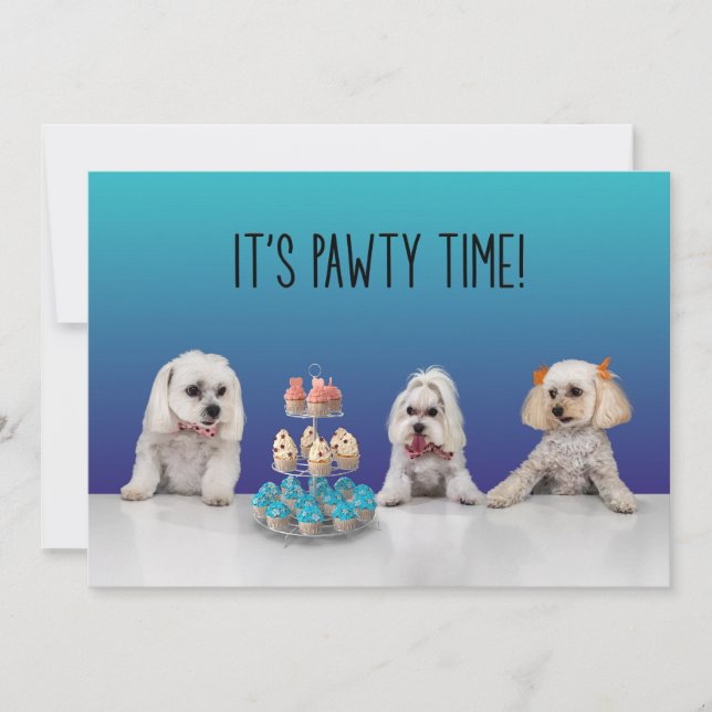 Gotcha Day Party Invitation (Front)