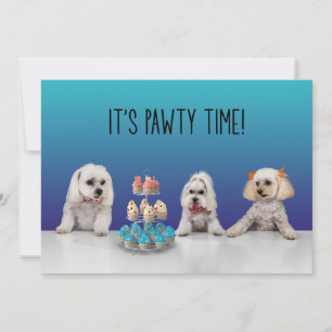 Gotcha Day Party Invitation
