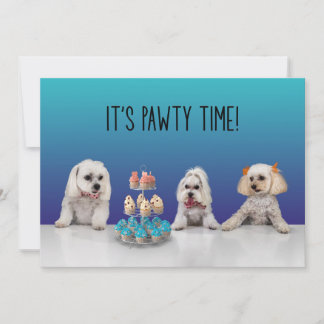 Gotcha Day Party Invitation