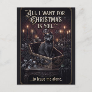 Goth Black Cat in a Coffin with Fun Christmas Text Postcard