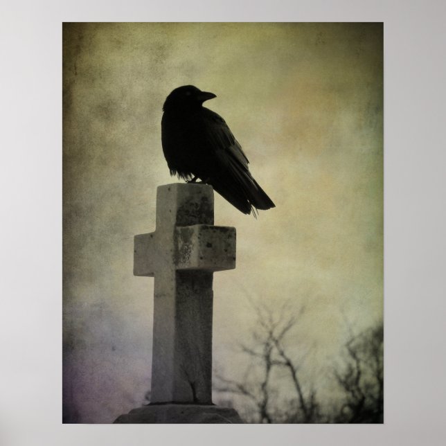 Goth CrowPoster Poster (Front)