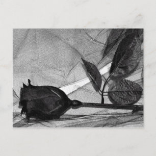 Goth Valentine Holiday Postcard