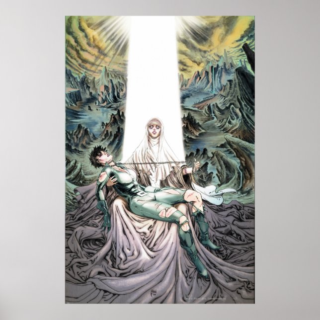 Gotham City Sirens Cv13 Poster (Front)