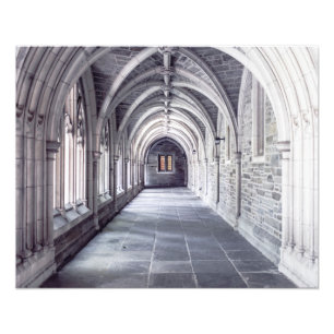 Gothic Arches Photo Print