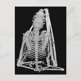 Gothic Bat Skeleton Postcard