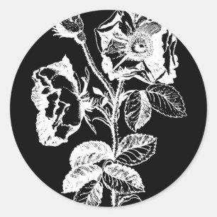 Gothic Black Antique Rose Classic Round Sticker