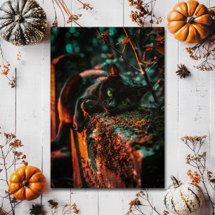 Gothic Black Cat Cemetery Spooky Halloween Postcard