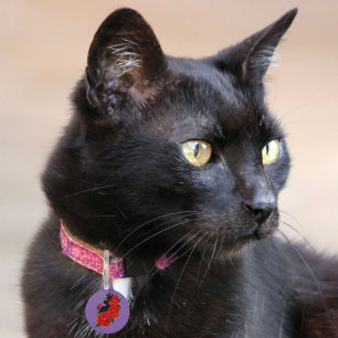 Gothic Black Cat Red Roses Purple Pet Tag