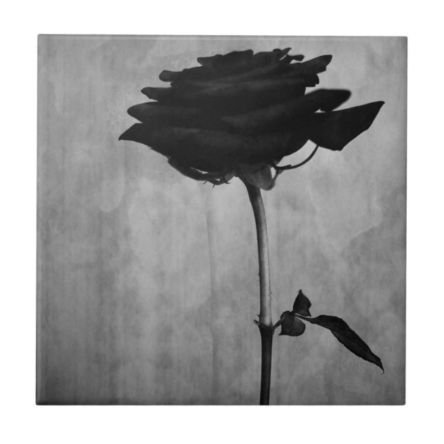 Gothic Black Rose Ceramic Tile (Front)