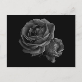 Gothic Black Roses Postcard