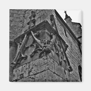 Gothic cathedral court jester close up magnet