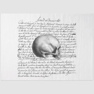 Gothic Debutante Series Design 5   Tissue Paper